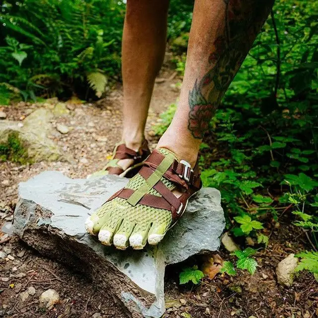 Рисунок 2 - Новинка 2025 года