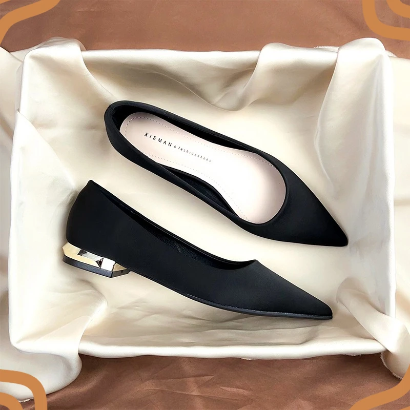 Fashion New Women's Shoes Exquisite Pointed Toe Low Heels for Woman Elegant Office Work Shoes Designer Shoes Zapatos De Mujer