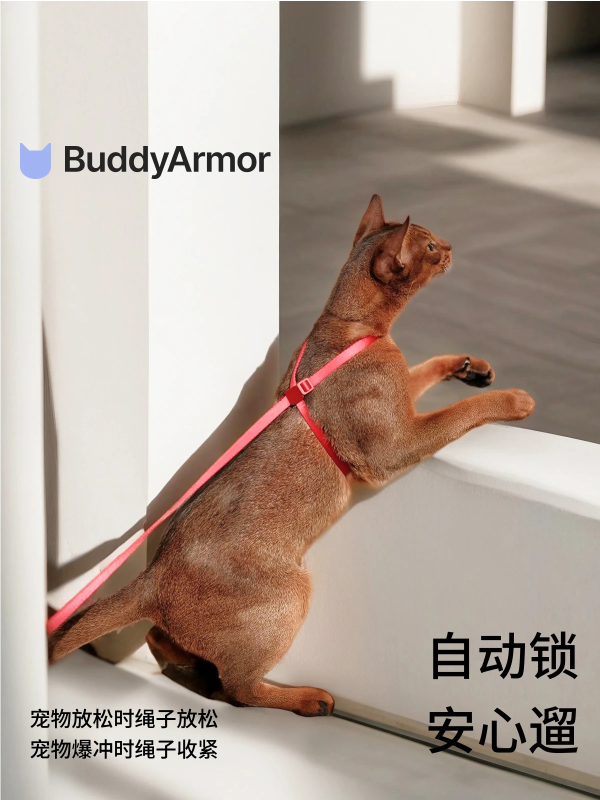 Leash for Cats and Dogs Can Be Adjusted for Walking Dogs and Cats with Chest Straps