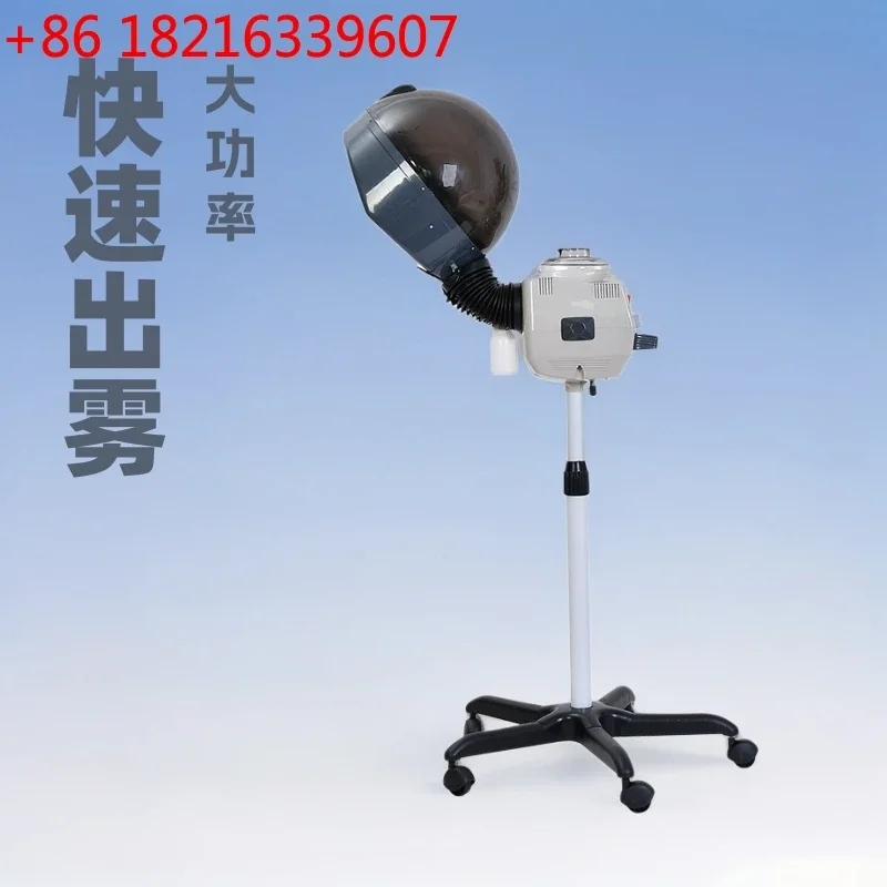 Vertical Oil Baker Haircut Professional Steam Engine Spray Machine Hair Care