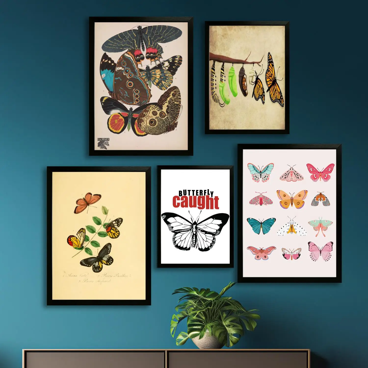 butterfly Canvas Art Poster and Wall Art, Picture Print, Modern Family Bedroom Decor,Decorative painting