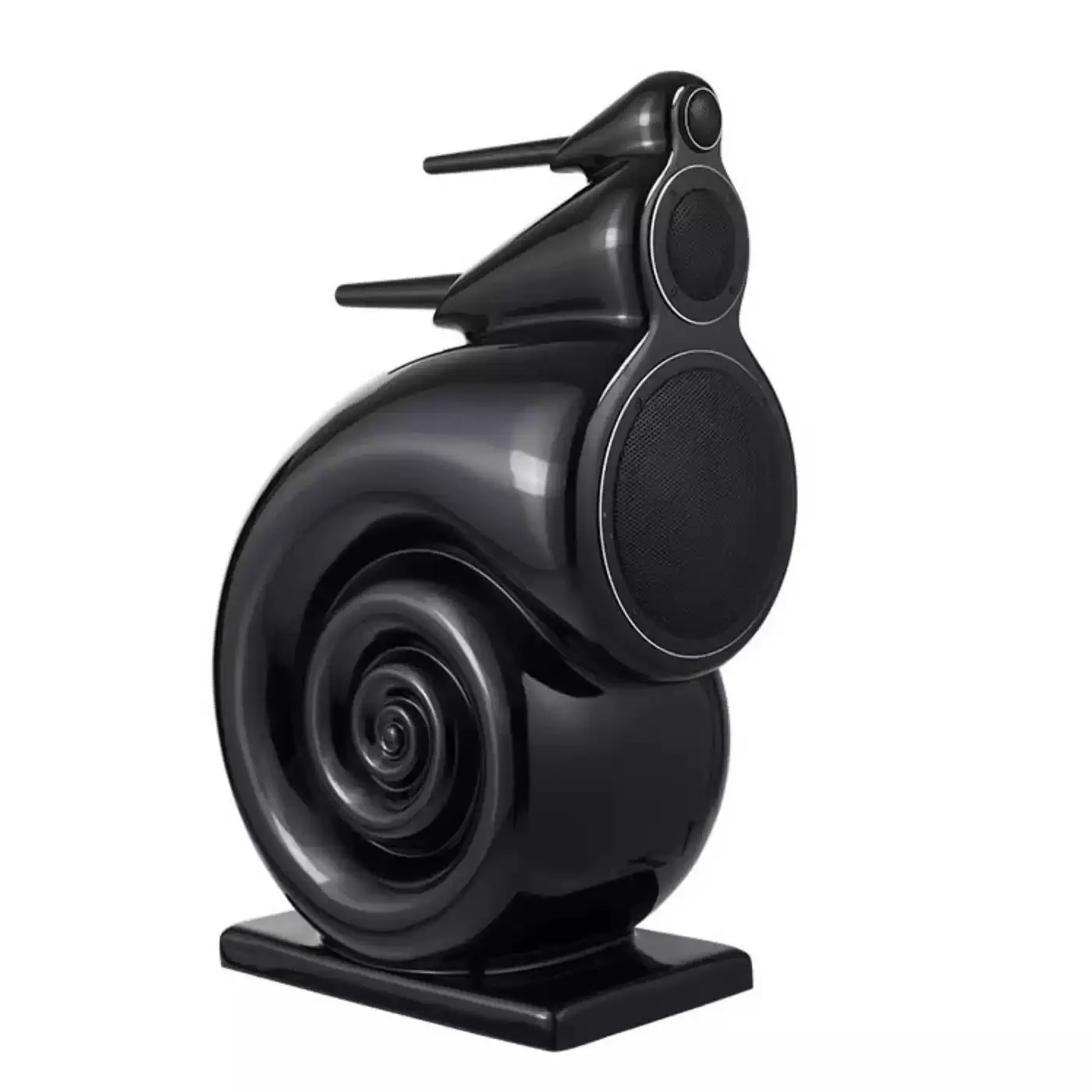 Joyful Nautilus 8