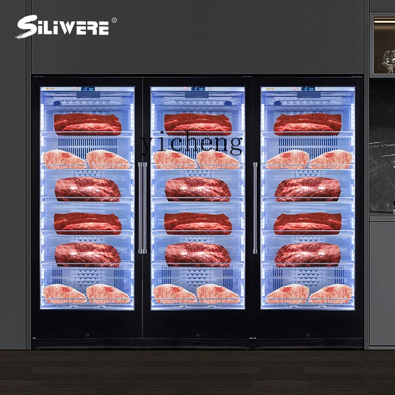 C21 Steak, Beef Cabinet, Constant Temperature And Humidity Steak Cabinet, Refrigeration Method, Air Cooling