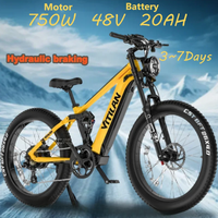 Mountain Electric Bike 750W Bafang Motor 48V 20Ah Battery Vitilan T7  26*4.0\