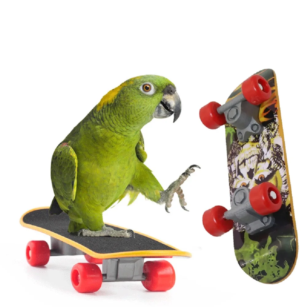 

Скейтборд для тренировки попугаев, принадлежности для птиц, коньки, неразлучные каноры, окунь для попугаев, для птиц, Calopsita, аксессуары для птиц, 1 шт.