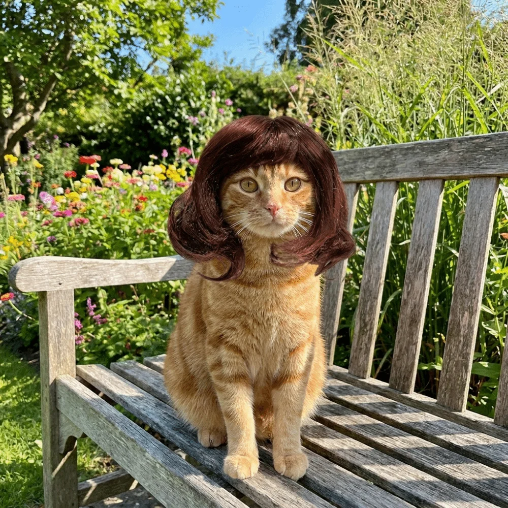 Pet Supplies Big Wave Pet Wigs Lightweight Adjustable Pet Costume Wigs Breathable Cute Cat Short Curly Hair Photography Props