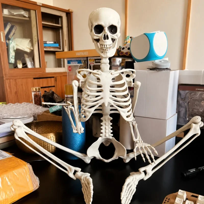Halloween Skeleton 170cm Life Size Full Body Human Posable Movable Standable Halloween Haunted House Escape Room Decor Gift New