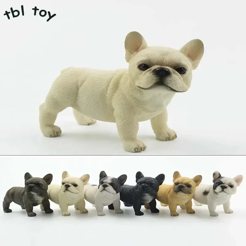 

1/6 масштаб стоящая маленькая собака французский бульдог модель животного для 12-дюймового украшения моделирование игрушечные фигурки домашних животных