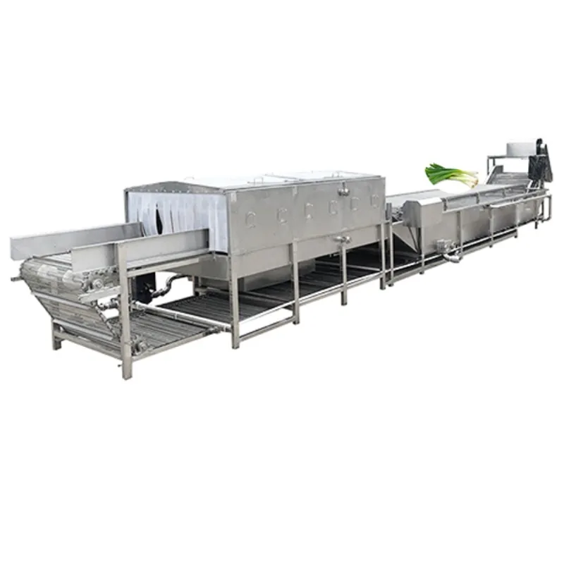 Li-Gong Double Chain Bubble Washing Machine Vegetable and Fruit Processing Plant Remove Impurities Air Bubble Washing Machine
