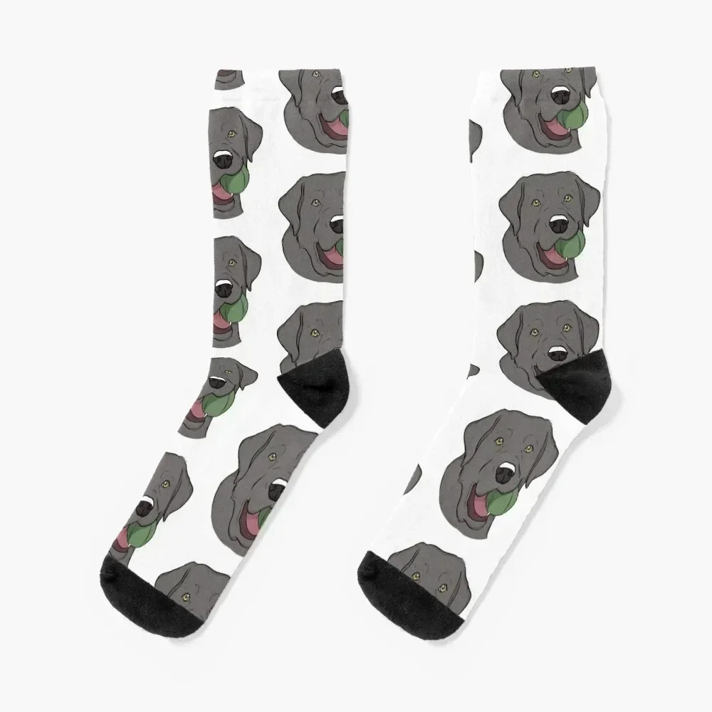 Silver Labrador with Ball Socks FASHION sport Socks Male Women's