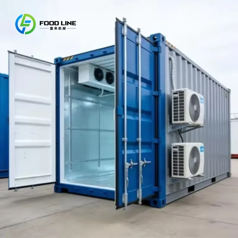 20ft 40ft Container Cold Storage Walk-in Cold Room Solar Restaurant Small Energy Efficient Fruits Vegetables