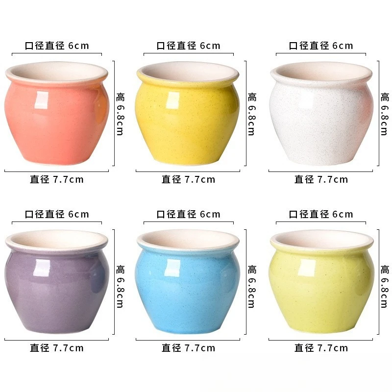 Macaron Ceramic Succulent Flower Pot Cactus Noodle Small Ornament Pottery Decoration Plant Creativity
