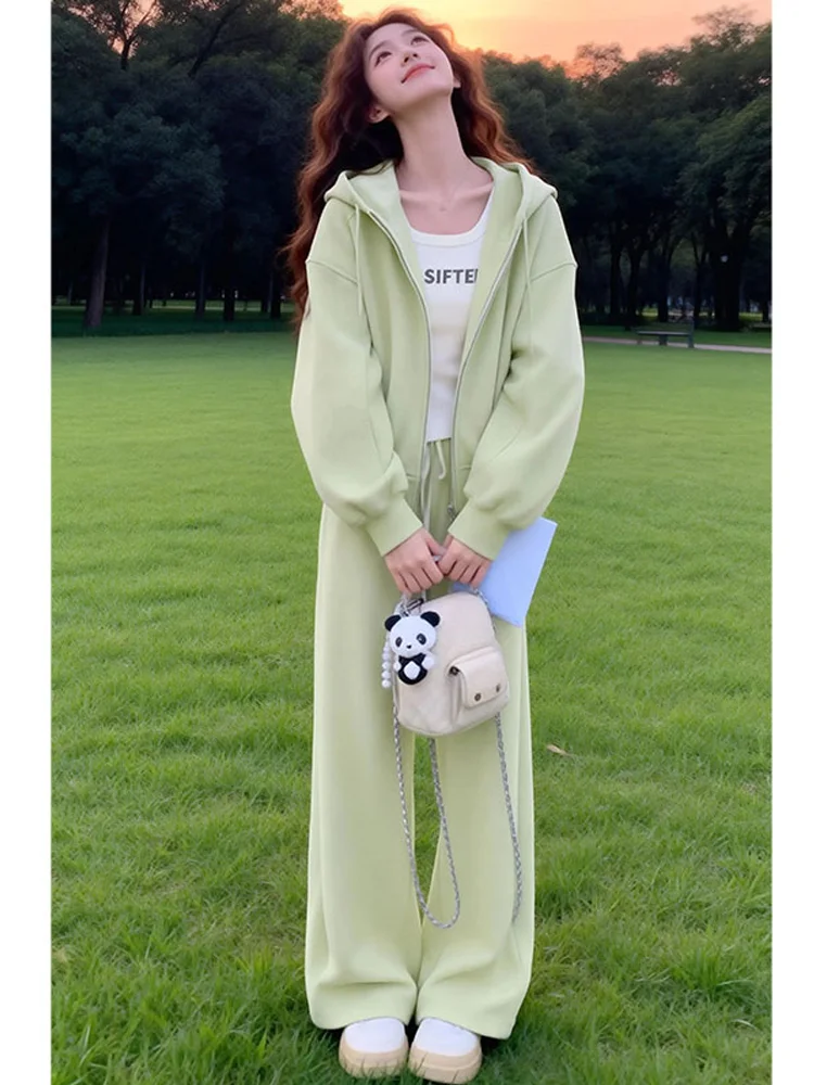 

Повседневный спортивный женский комплект из двух предметов: худи с капюшоном и свободные длинные брюки. Новинка весна-осень. Удобный модный ансамбль.