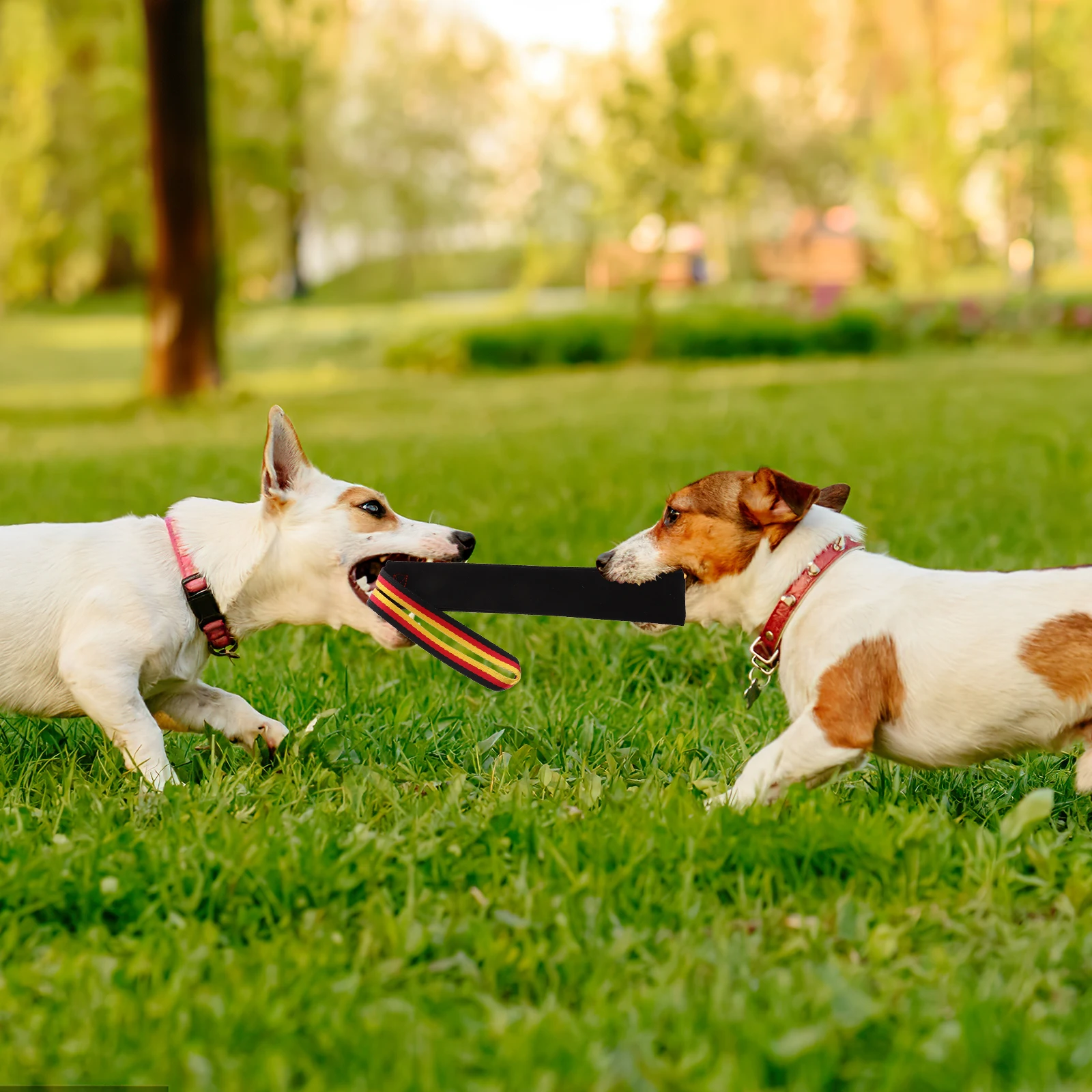 

Dog Tug Chewing Bite Resistant Interactive Training Molar Tool Puppy Lightweight Pet Dog Puppy Tug