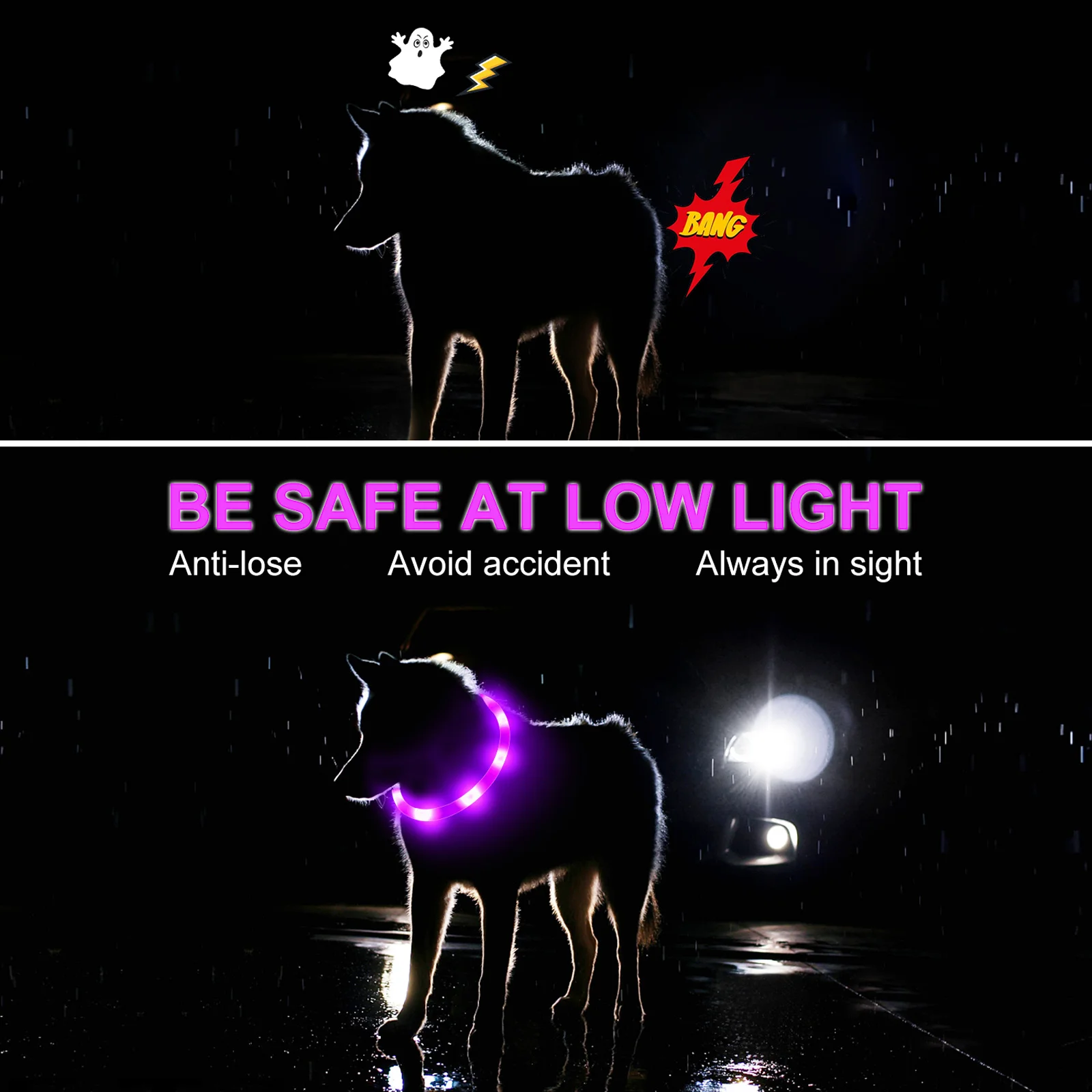 Thumbnail 4 - #58 Cheap LED Dog Collars Worth Buying