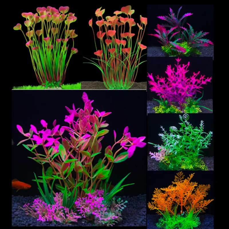 #64 Trending Decorative Aquarium Plants Right Now