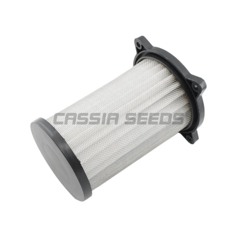 Motorcycle intake filter for Suzuki GZ125 1998-2011 GZ250 Predator 1999-2015