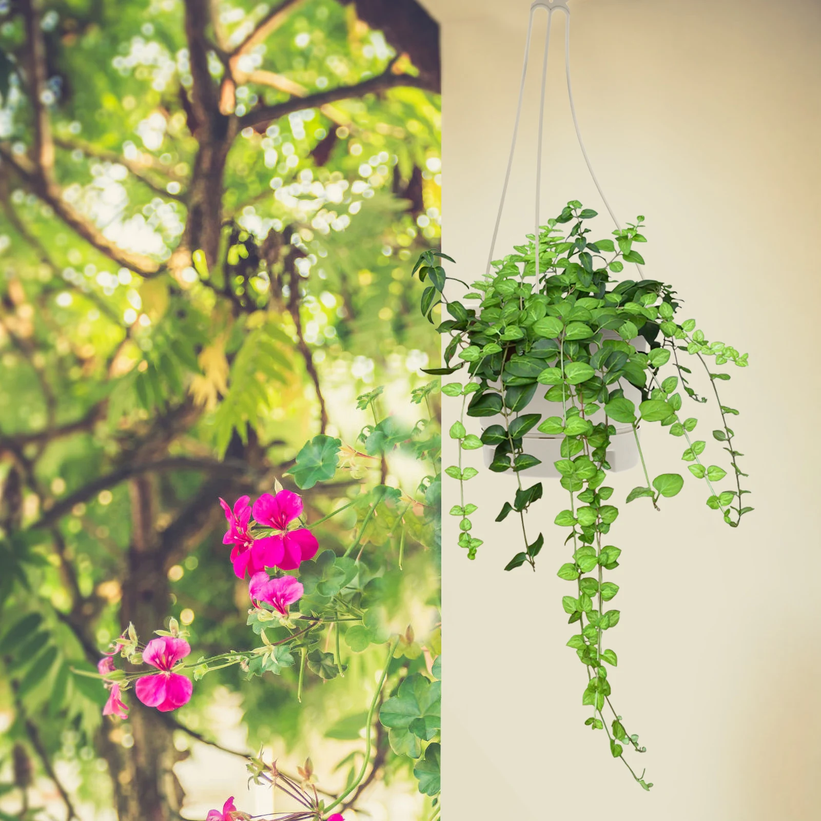 

5pcs Hanging Flowerpot Chlorophytum Pot Plastic Planter for Garden Balcony Basket Container Lightweight Durable