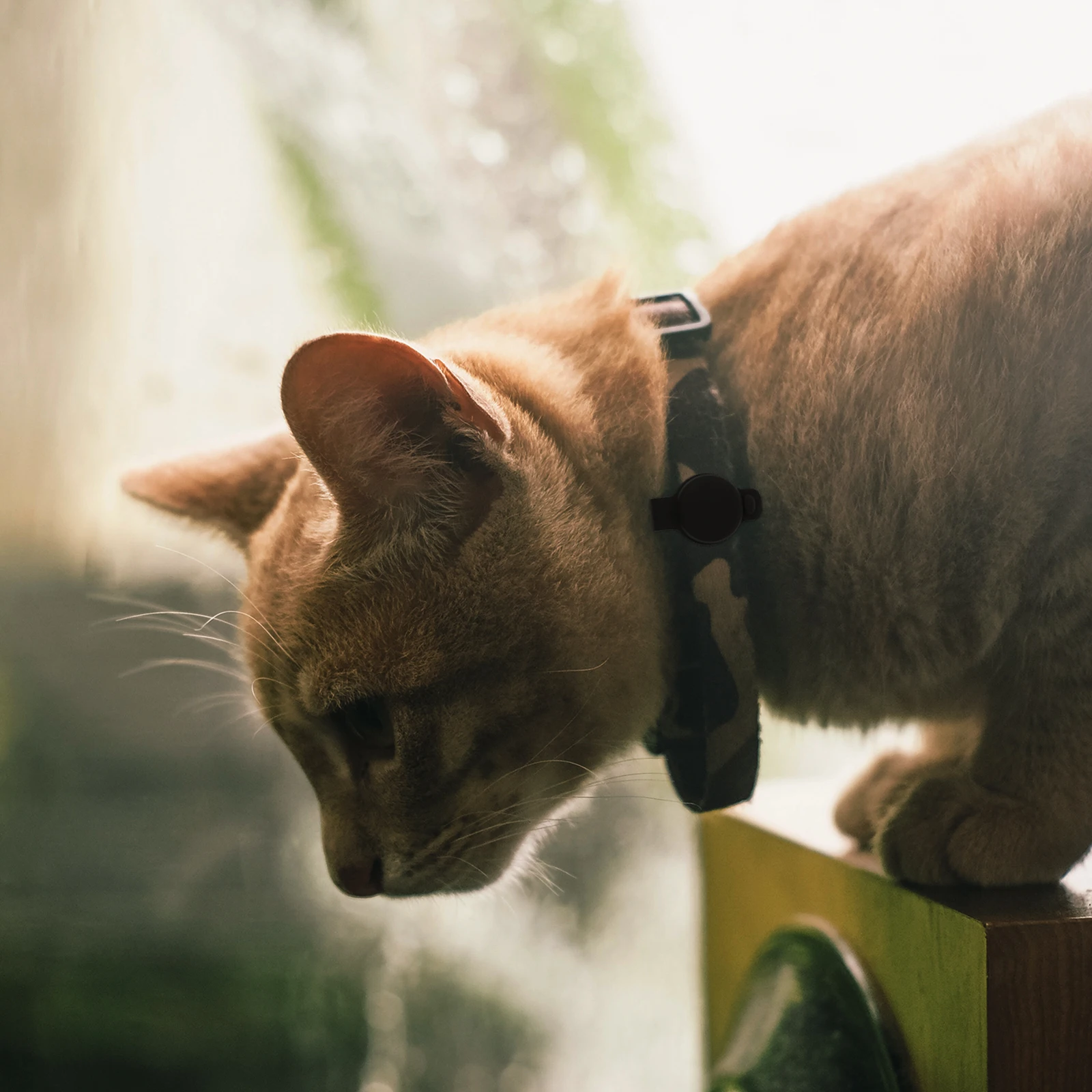 

Protective Tracer Cover Dog Collar Holder Compatible for Airtags Black Antidrop Lightweight Silicone