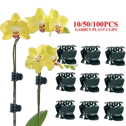 10/50/100szt Vine Clothespins Plant Climbing Fix Clip Butterfly Orchid Flower Support Clamp Garden Fruit Vegetable Stem Fastener