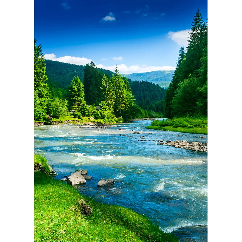 Zhisuxi Sommer tropische Palmen Baum Meer Strand Foto Hintergrund szenische Fotografie Hintergrund Fototermin Fotostudio 21416fhx-01