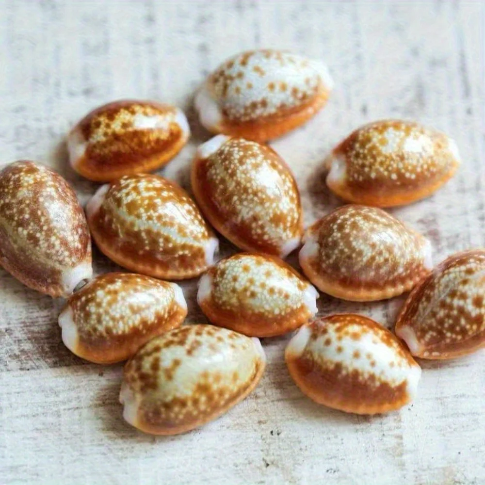 

10pcs Mini Safflower Cowrie Shells for DIY Jewelry Making, Resin Art Supplies, Ocean Theme Home Decor
