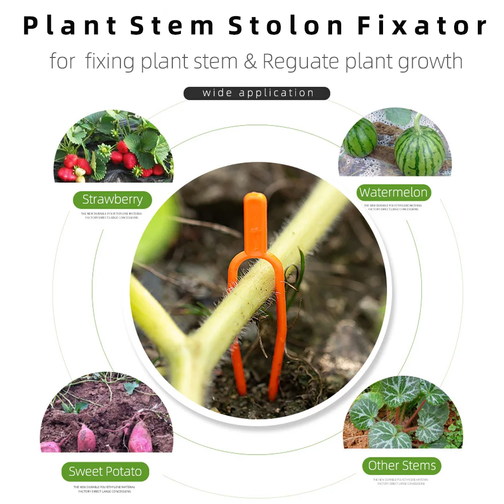 50PCS Plant Stem Stolon Fixator 55MM 65MM Garden Strawberry Planting Fork Watermelon Fastening  Fixture Clamp Clip Plant Support