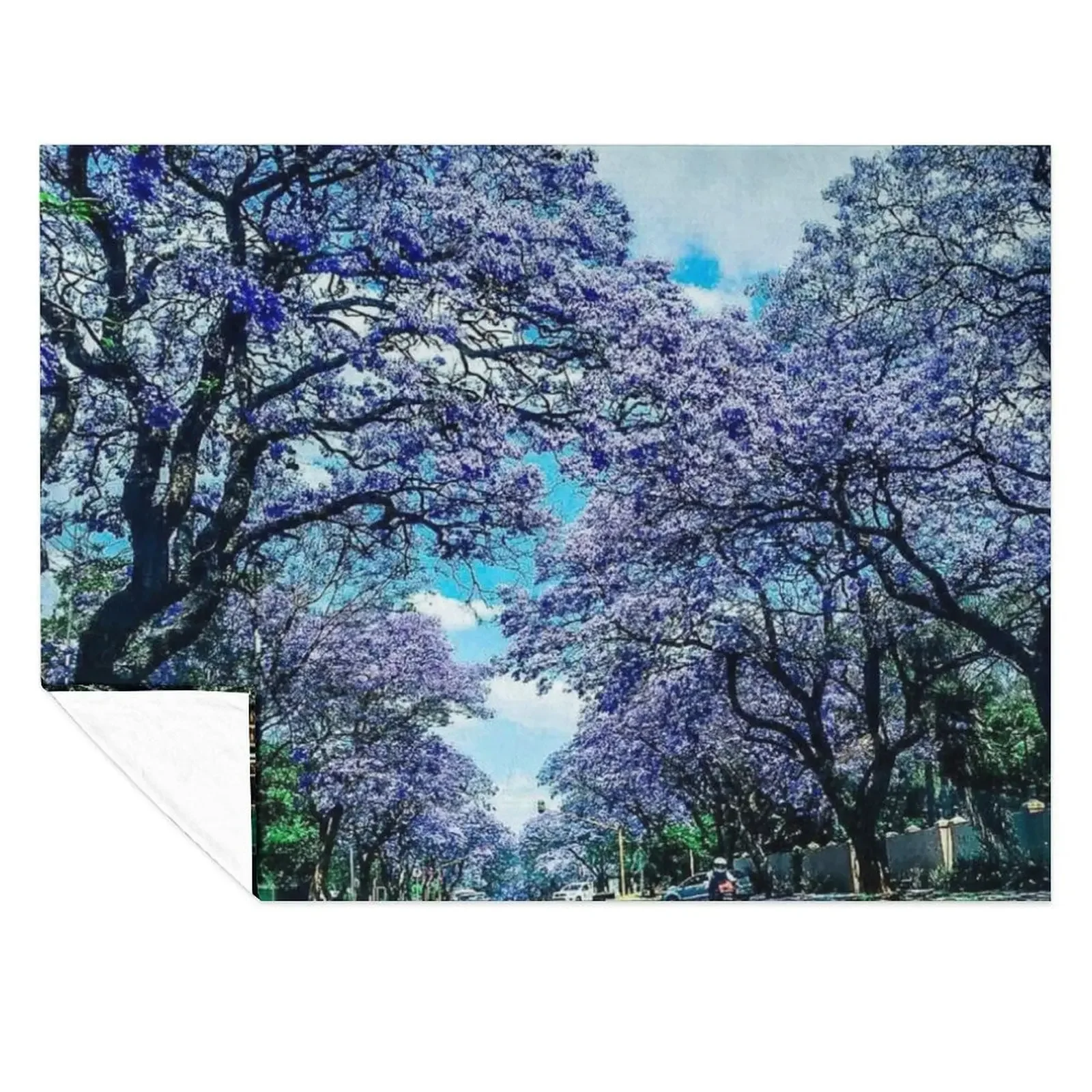 

Jacaranda trees in Pretoria Throw Blanket Thermal Large Summer Beddings Decorative Throw Blankets
