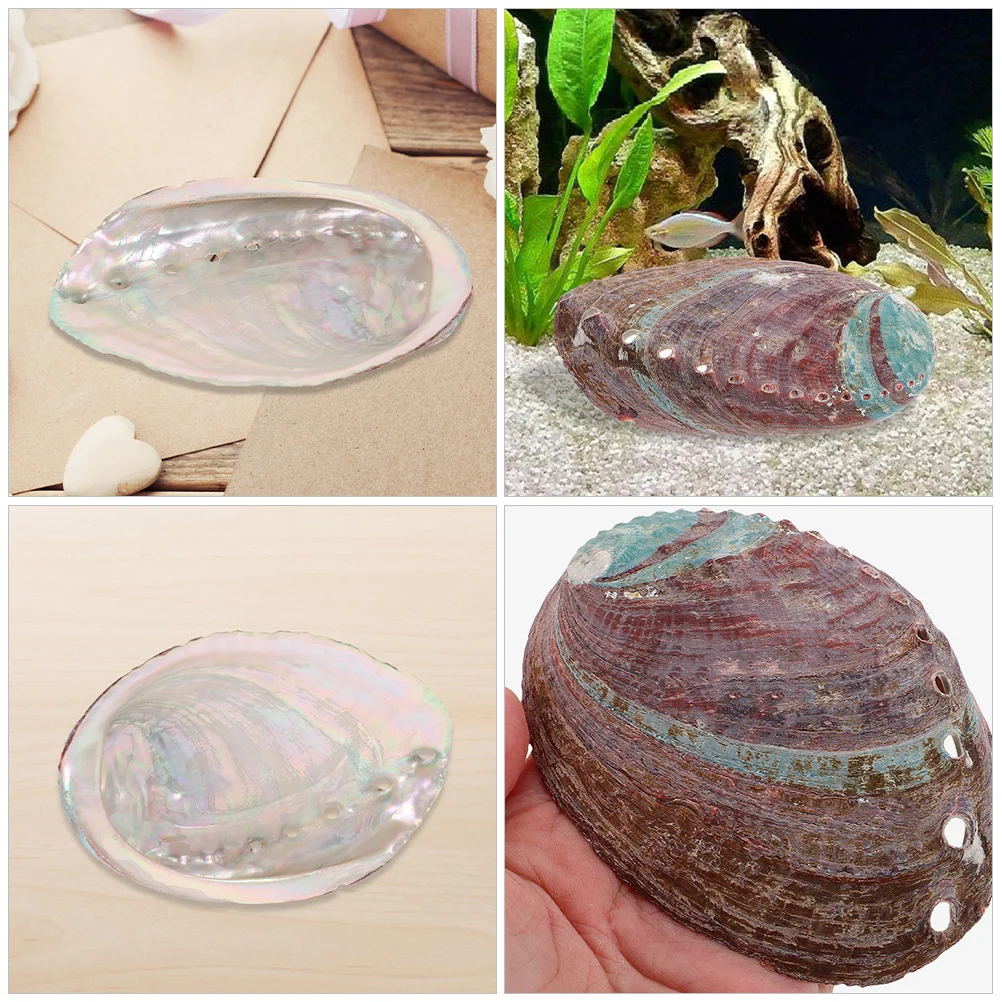 

Rough Abalone Shell Natural Aromatherapy Burning Container Shell Holder Home Desktop Decoration Aromatherapy Burning Container