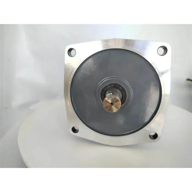 CV Vertical CH Horizontal Chip Extractor Gear Motor 380V200W400W750W1500W Speed Control Motor