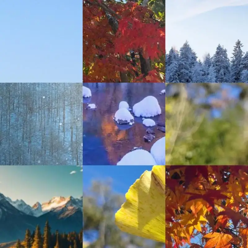 

M.2 NGFF NVME 2280 SSD Heatsink Aluminum Alloy Solid State Disk Drive Radiator Cooler Cooling Cooler Radiator for PS5 Desktop PC