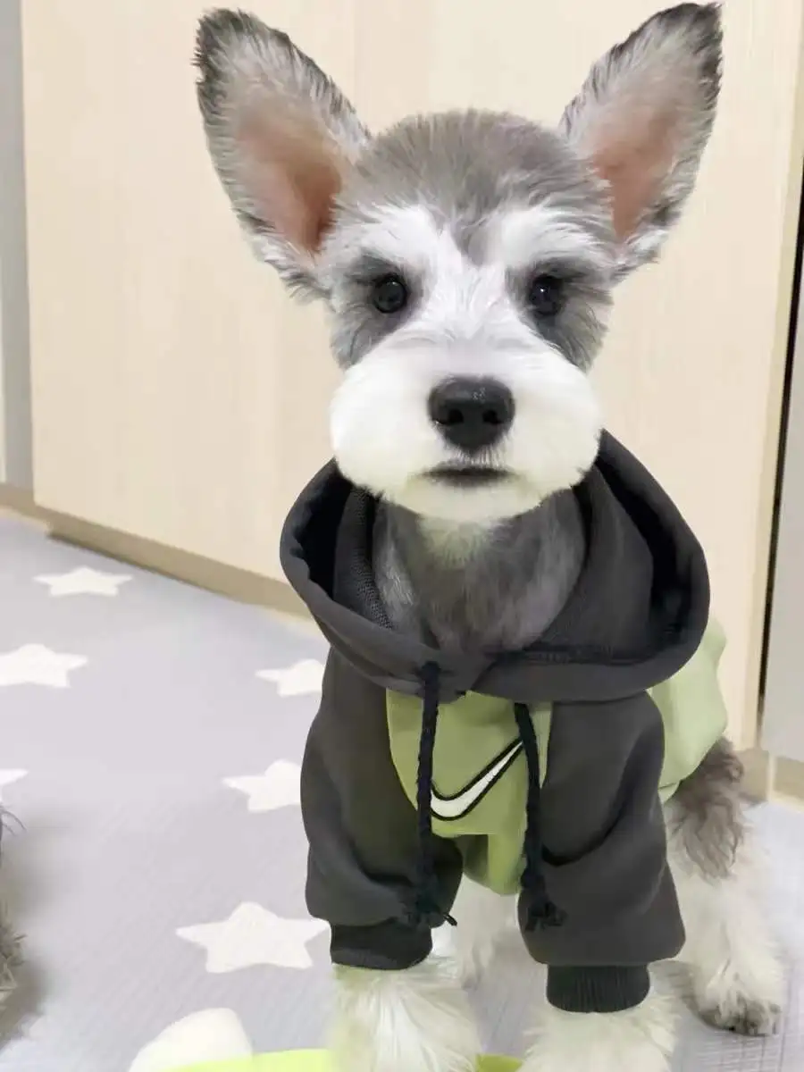 Pet Clothes with Hood, Patchwork Design for Autumn and Winter, Suitable for Large Dogs like Samoyeds, Giant Pandas, and Schnauze