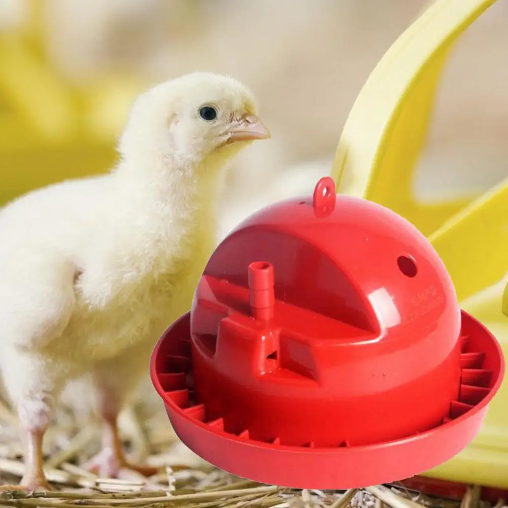 

Chick Drinking Bowl Automatic Plastic Detachable Poultry Waterer for Pet Chicken Poultry Small Duck Chick Water Bowl Container