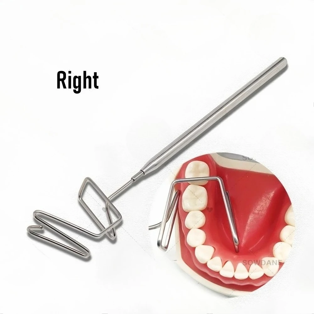 J Lab الفولاذ المقاوم للصدأ فاصل اللغة اللسان المعزل الشفاه الخد المعزل الشفاه الخد فاصل الكامشات أفضل أداة