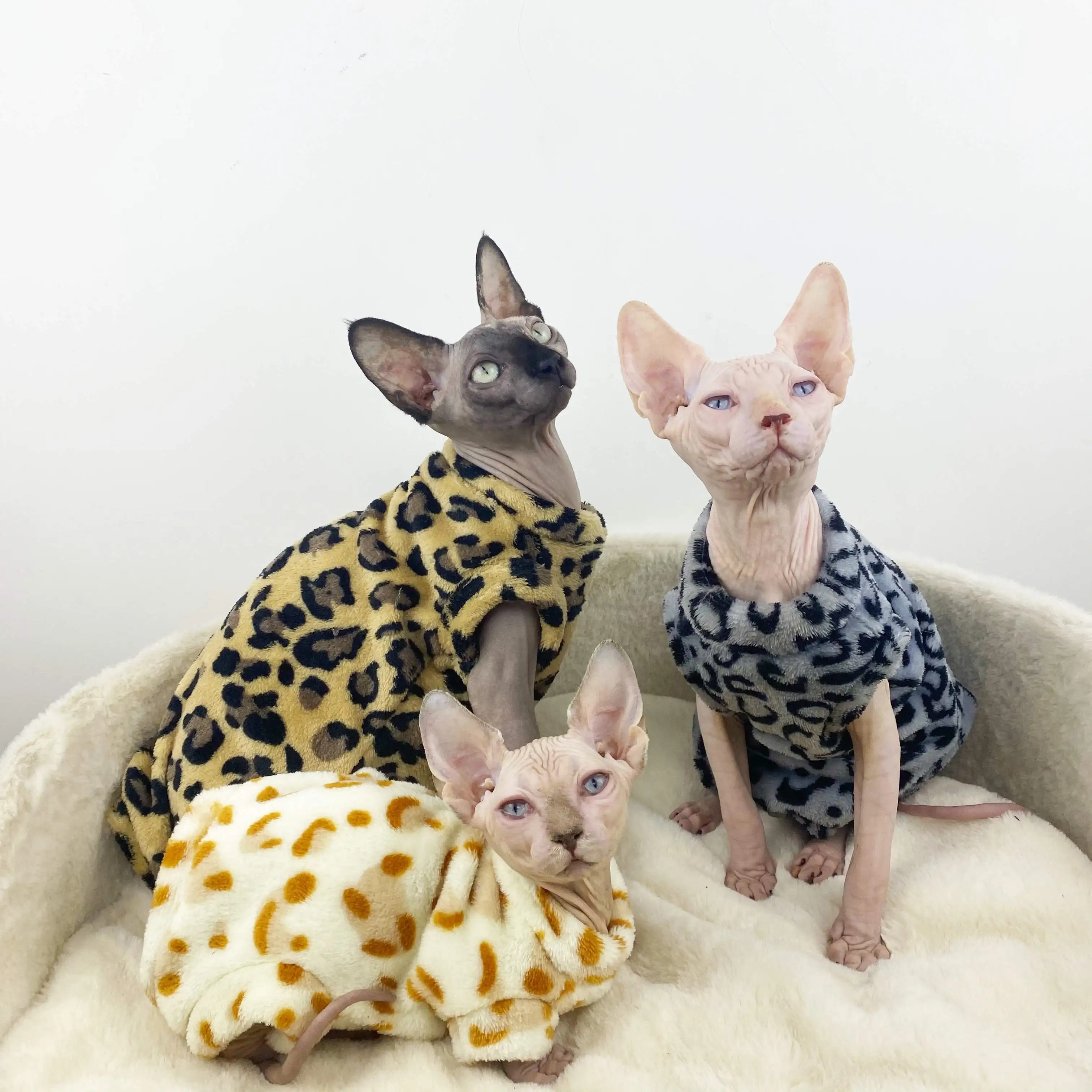 Sphynx Hairless Cat Clothes Autumn and Winter Thick Winter Velvet Leopard Flannel Four-legged Clothes Cat Clothes