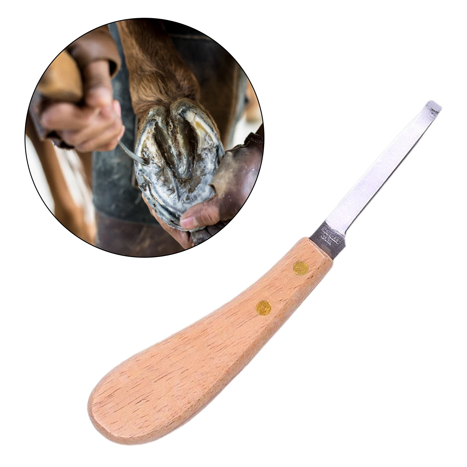 Cattle Cutter Hoof Trimmer Hoof Knife Horse Hoof Nippers Plier Cutter Foot Pruning Tools Farrier for Horse Farm Animal