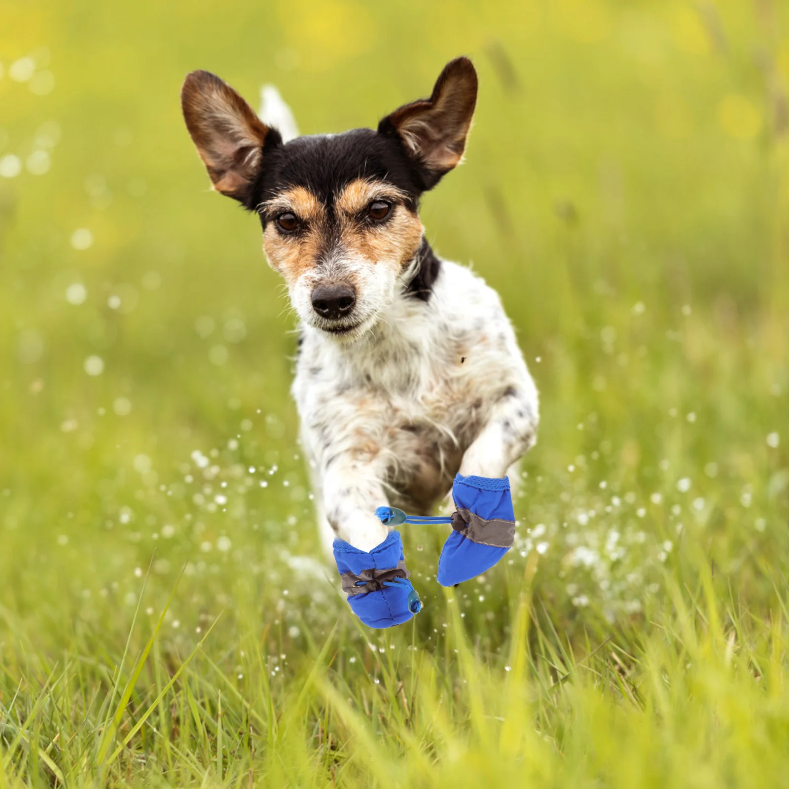 

4Pcs Dog Waterproof Pet Boots Durable Outdoor Rain Shoes Non-Slip Foot Protectors Dog Shoes Waterproof Pet Boots