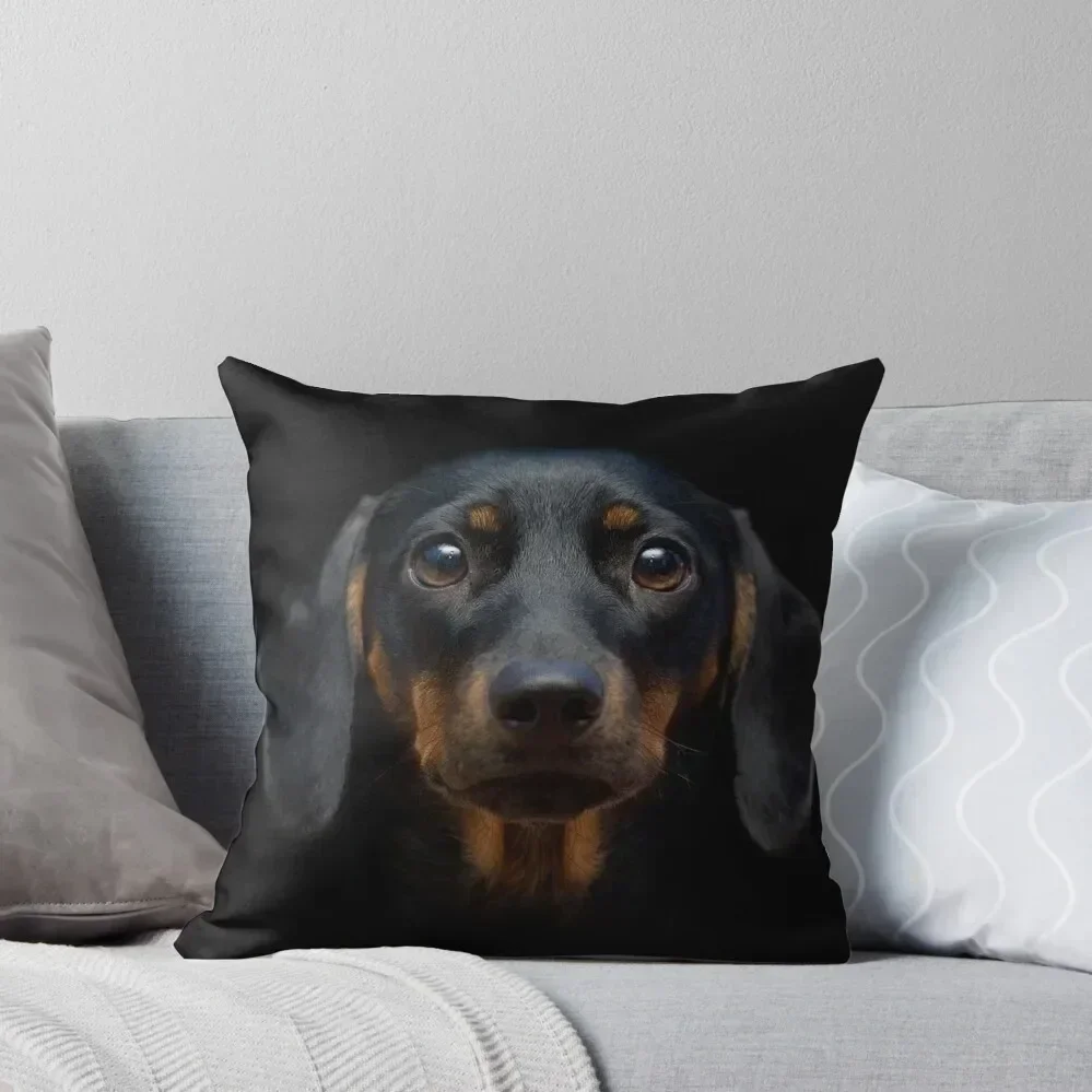 Dachshund Dog photo portrait Throw Pillow Sofa Cushion autumn pillowcase Luxury Pillow Case pillow