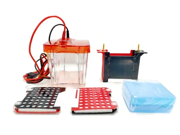 Laboratory device Transfer Wb Electrophoresis Tank