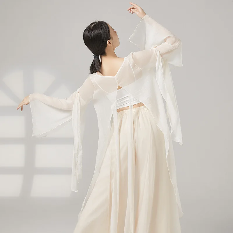 Women Classical Dance Chiffon Long Cover Up Fairy Flowy Long Sleeve Modern Dance Top Vintage Performance Adult Costume Ballet