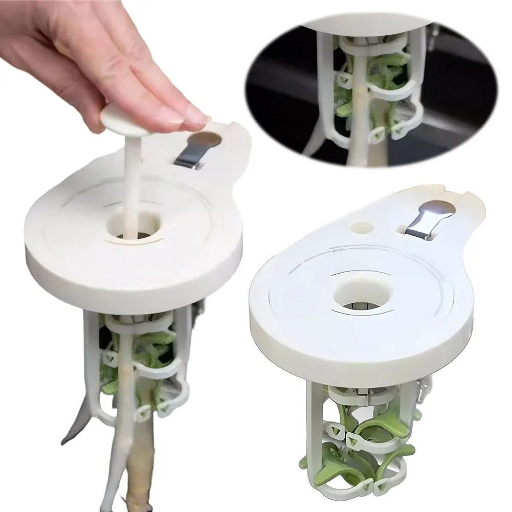 

Asparagus Peeler Easy To Use Special Paring Manual Asparagus Peeler for Kitchen