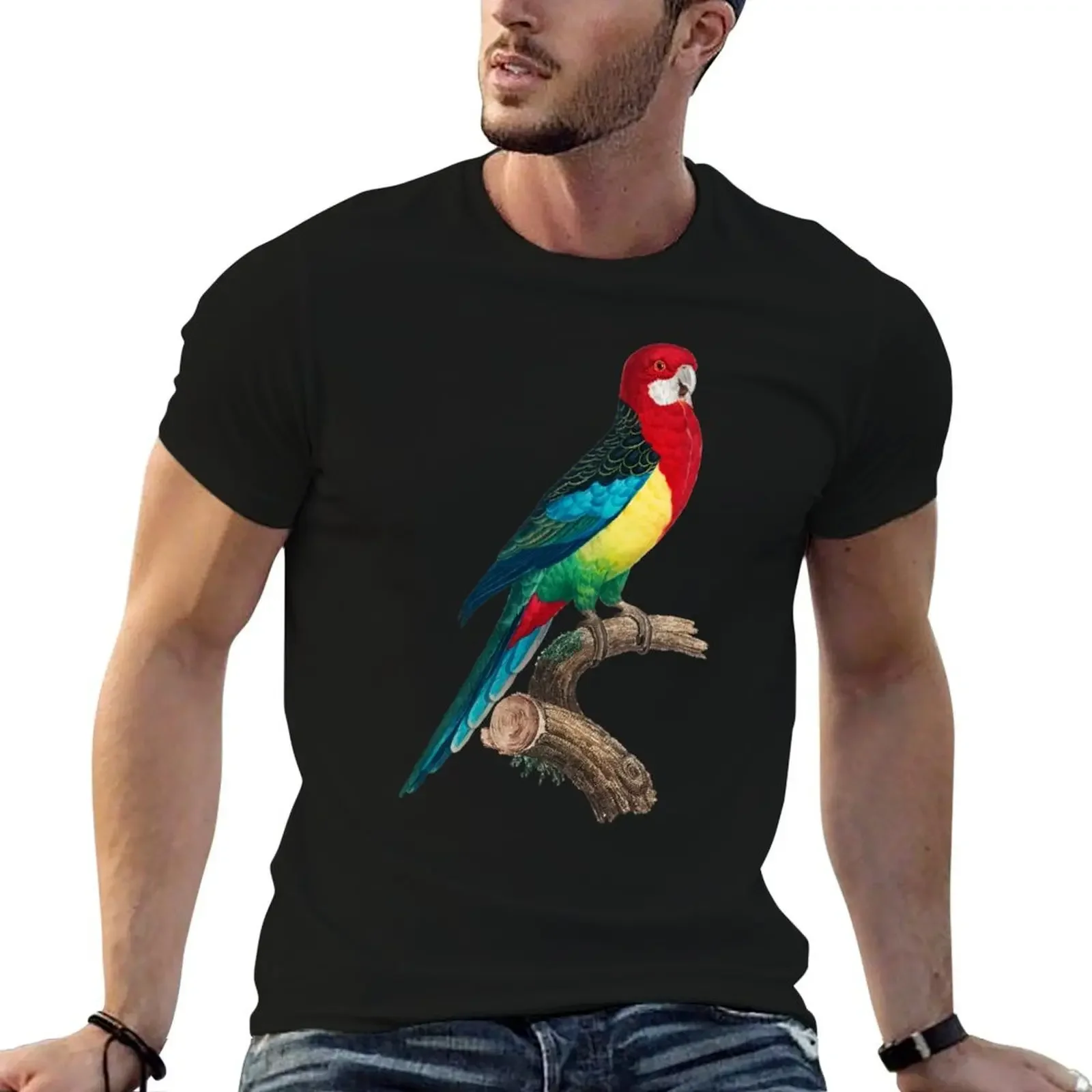 Eastern Rosella T-Shirt Blouse Short sleeve tee animal prinfor boys sports fans t shirts men