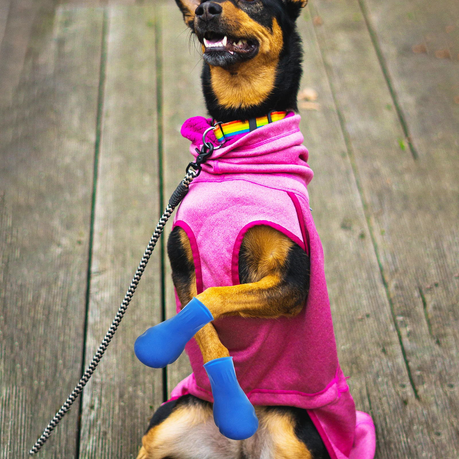 

4 Pcs Pet Waterproof Shoes Size Puppy Dog Boots for Dogs Accessories Paw Protection
