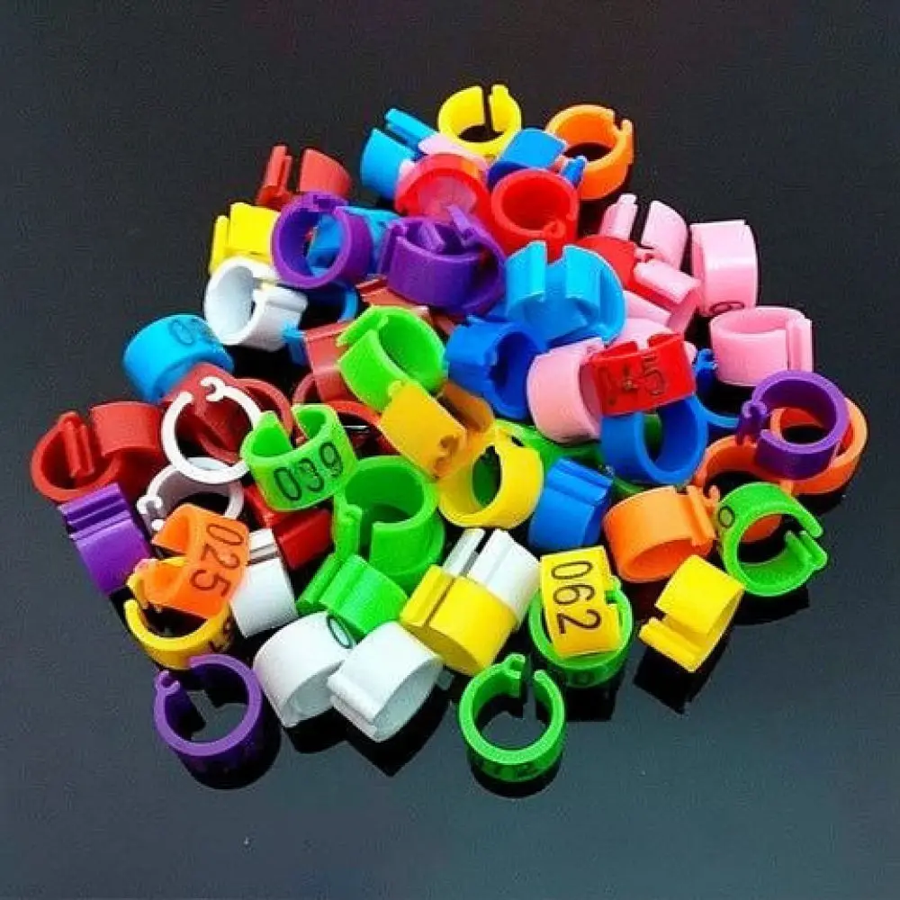 bandes-d'identification-en-plastique-pour-anneaux-de-patte-de-pigeon-oiseaux-de-course-gestion-du-suivi-de-la-volaille-outils-de-marquage-durables