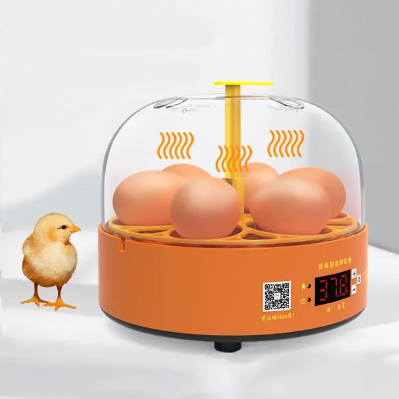 6 Egg Incubator Chicken Bird Egg Incubator Automatic Intelligent Quail Parrot Brooder Hatcher Chicken Duck Pigeon Incubators