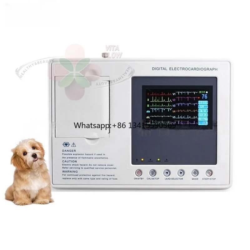 

eeg Machine for Dogs Cat Holter eeg 12 Channel Disposable eeg Electrodes