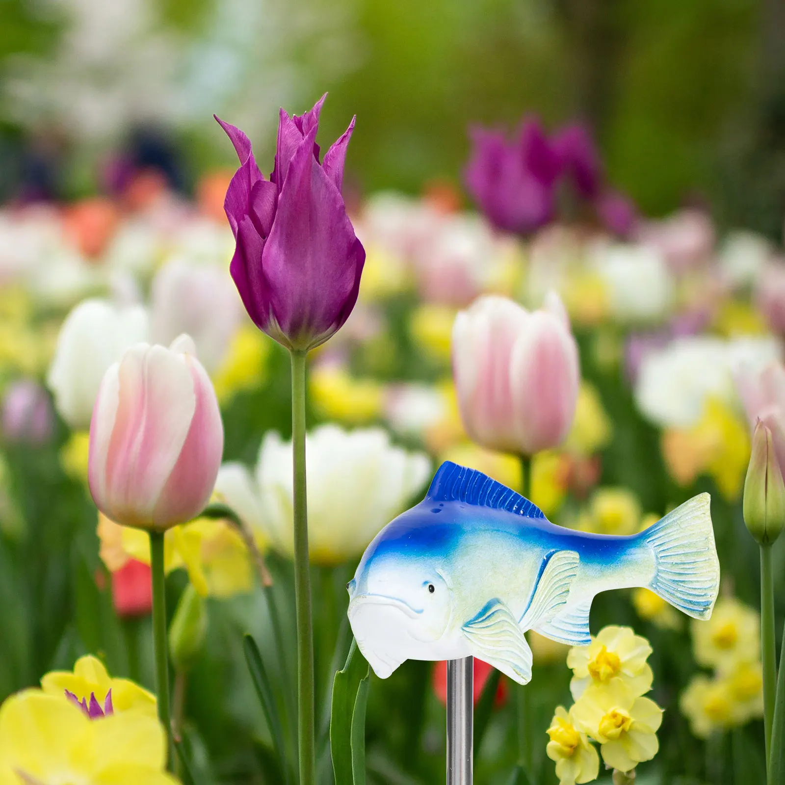 

Koi Resin Sculpture Durable Wear Resistance Garden Yard Decoration Creative Fish Shape Design Statue Outdoor Accessories