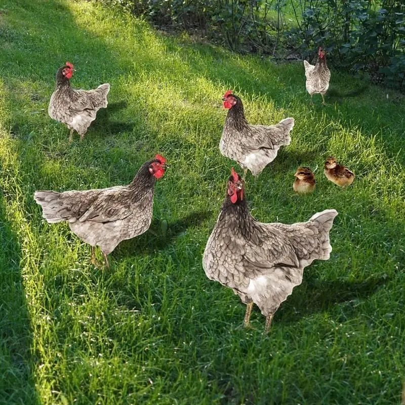 F19B Chicken Garden Stakes Ornaments Rooster Hen Lawn Insert Signs Outdoor Decoration Animal Sculpture Statue Yard Signs