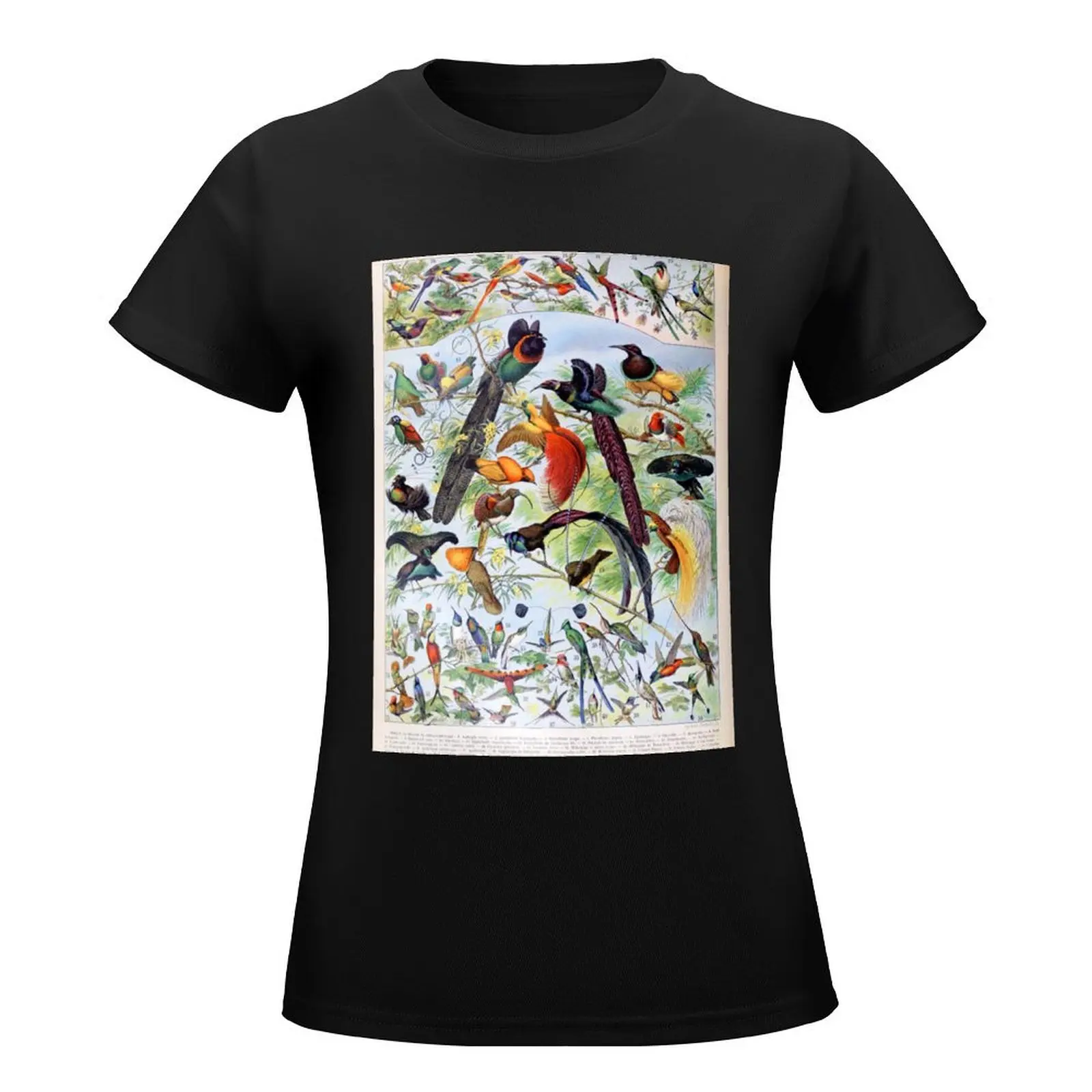 Adolphe Millot - Oiseaux B - French vintage poster T-Shirt funny funnys plus size tops cute t-shirts for Women