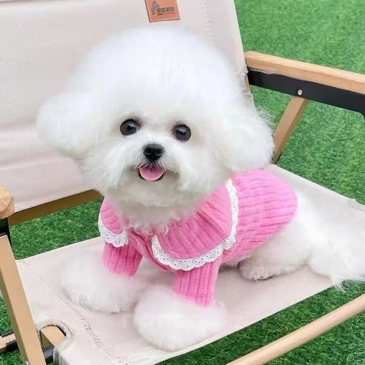 Doll Collar Cardigan Shirt Dog Clothes Lace Small Dogs Clothing Cat Spring Autumn Outfits Girl Korean Fashion Cute Pet Products